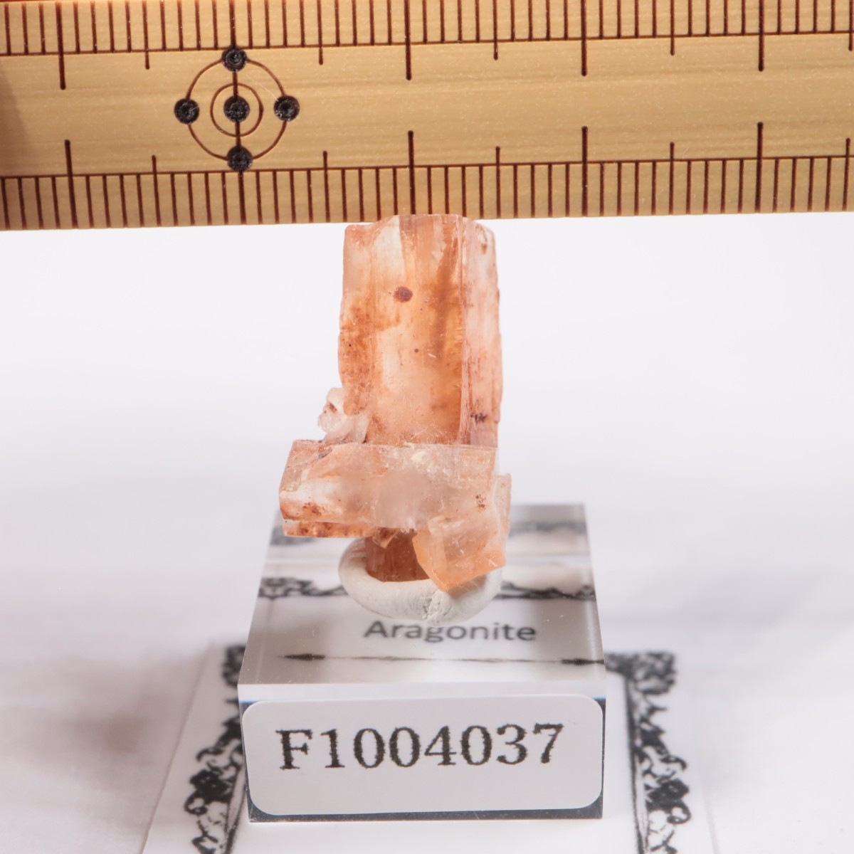 ����å��� ���饴�ʥ���