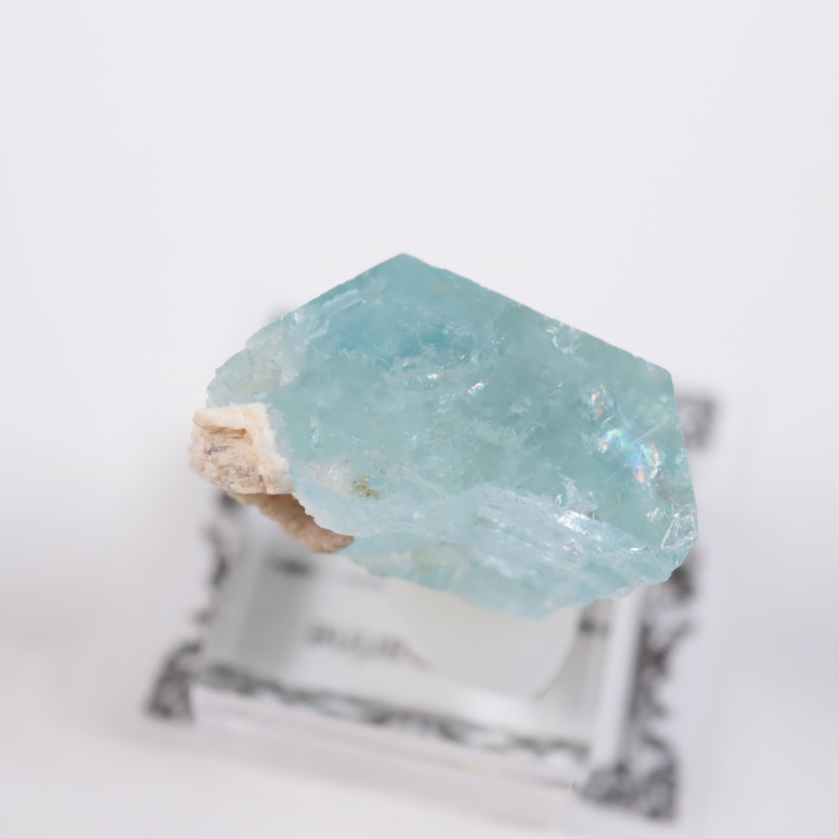 �����󥴹ۻ� �������ޥ��