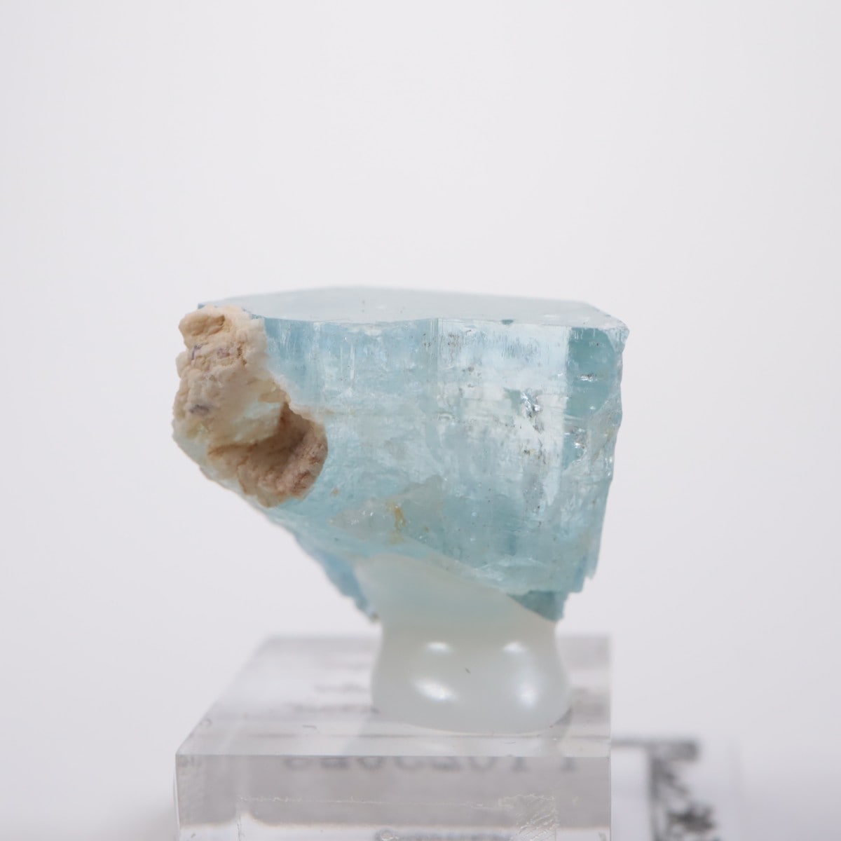 �����󥴹ۻ� �������ޥ��