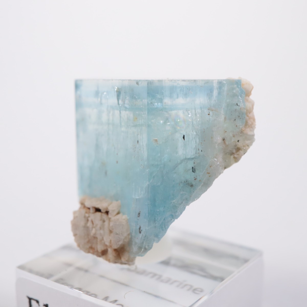 �����󥴹ۻ� �������ޥ��