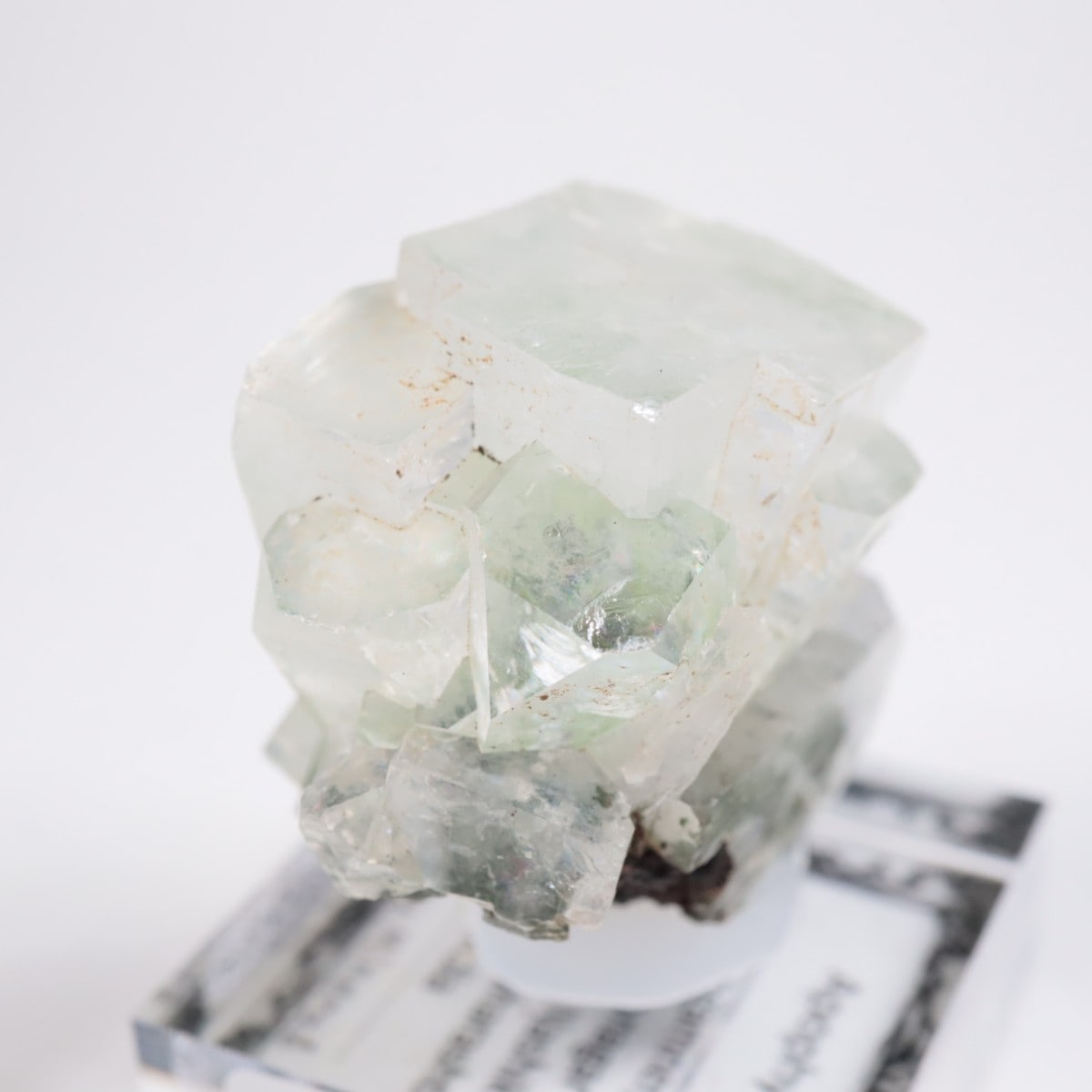 ����ɻ� ���ݥե��饤��