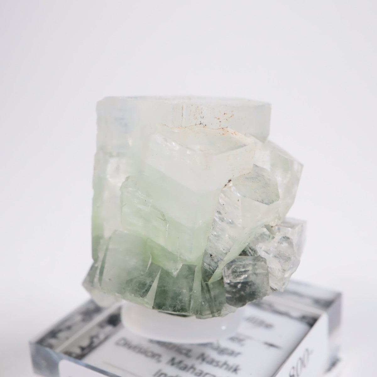 ����ɻ� ���ݥե��饤��