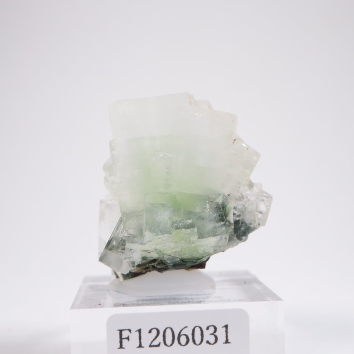 ����ɻ� ���ݥե��饤��