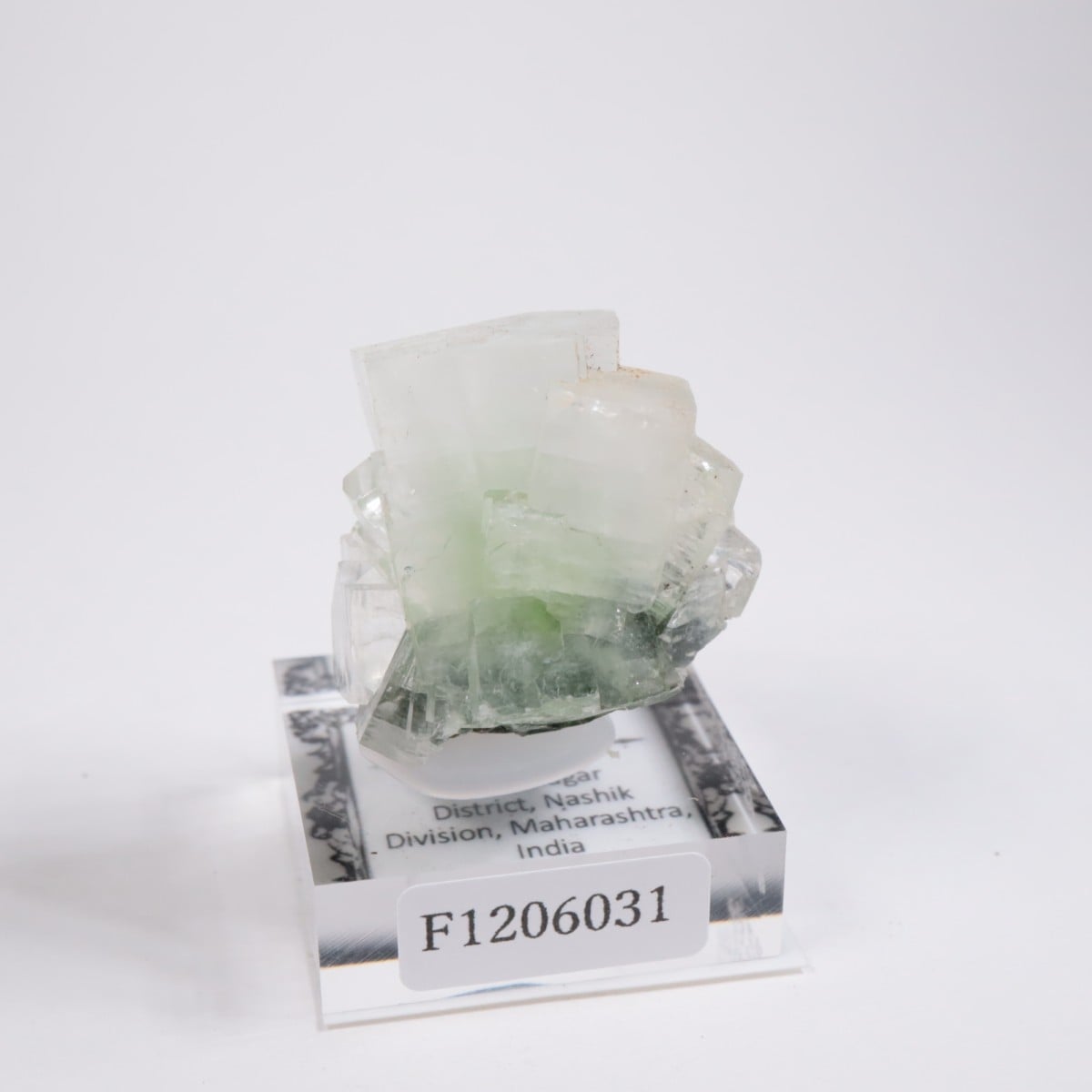 ����ɻ� ���ݥե��饤��