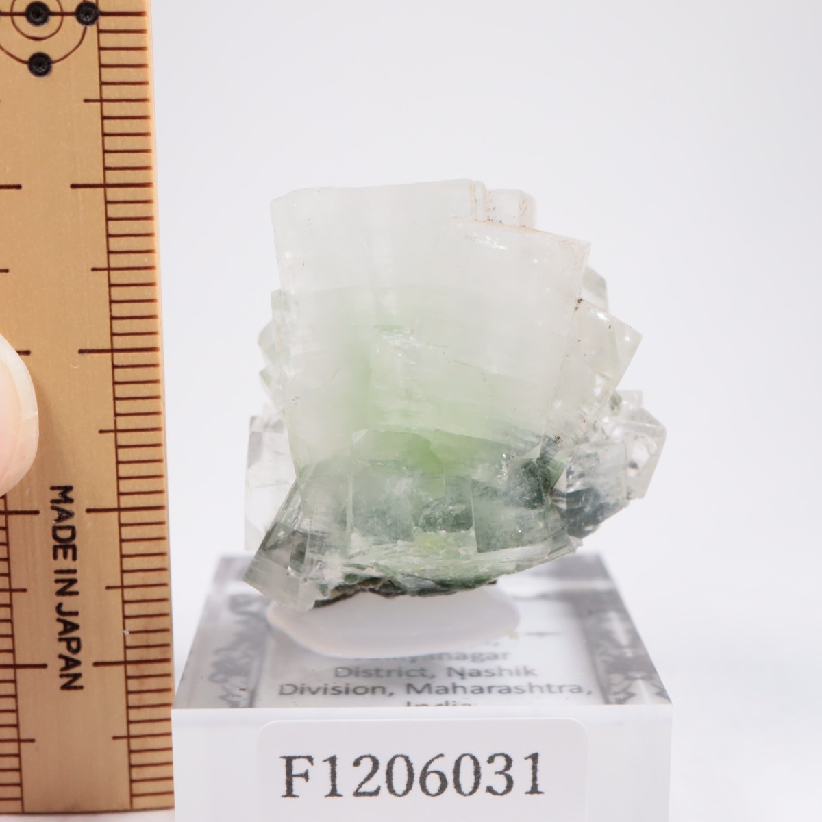 ����ɻ� ���ݥե��饤��