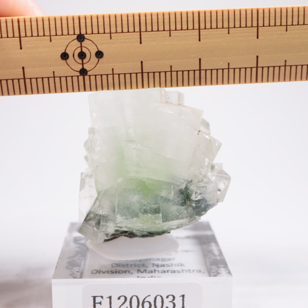 ����ɻ� ���ݥե��饤��