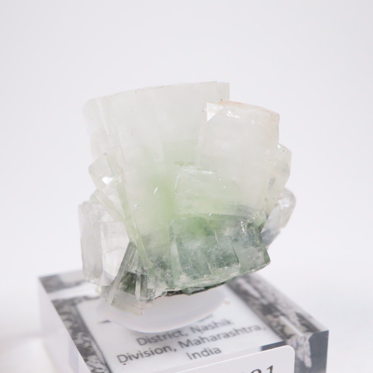 ����ɻ� ���ݥե��饤��