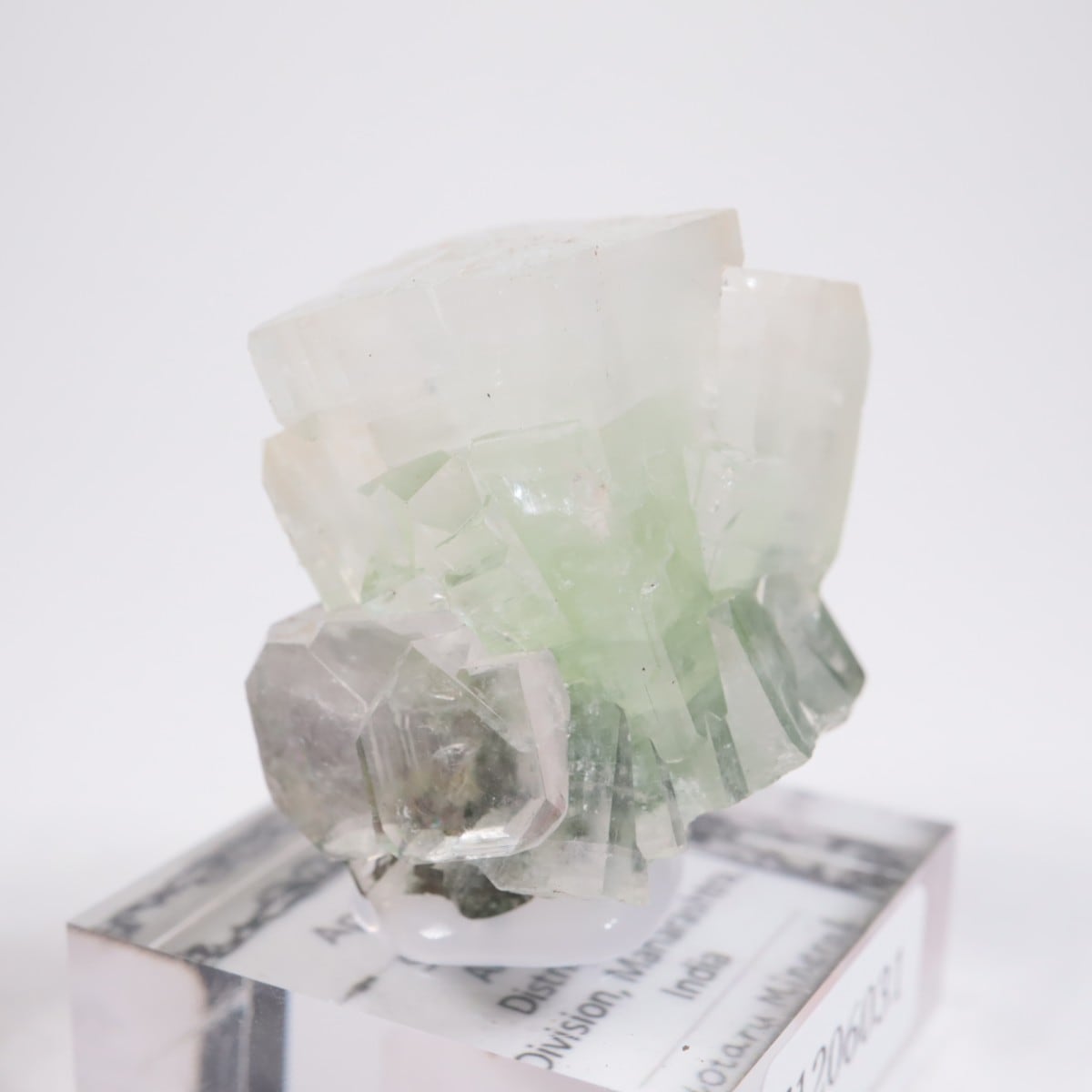 ����ɻ� ���ݥե��饤��