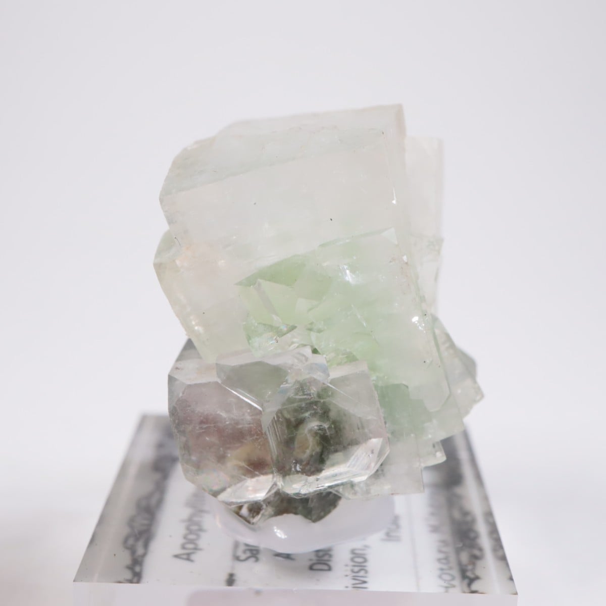 ����ɻ� ���ݥե��饤��