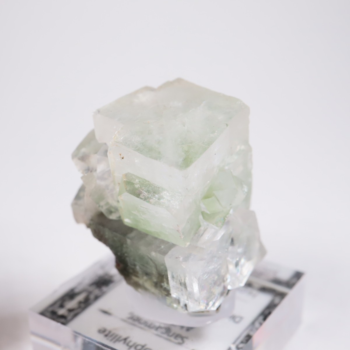 ����ɻ� ���ݥե��饤��