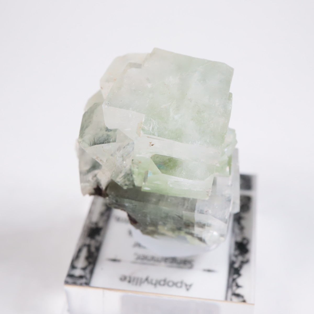 ����ɻ� ���ݥե��饤��