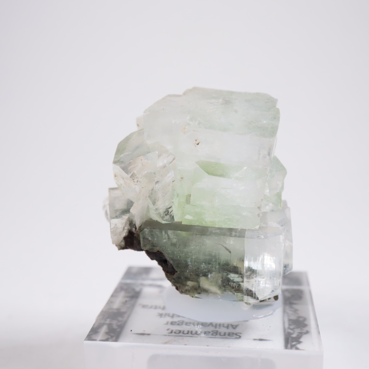 ����ɻ� ���ݥե��饤��