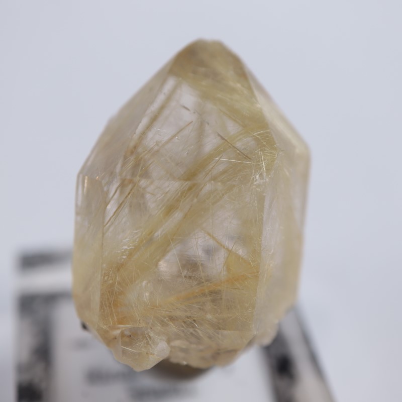 5_000000004864.jpg?1677409252