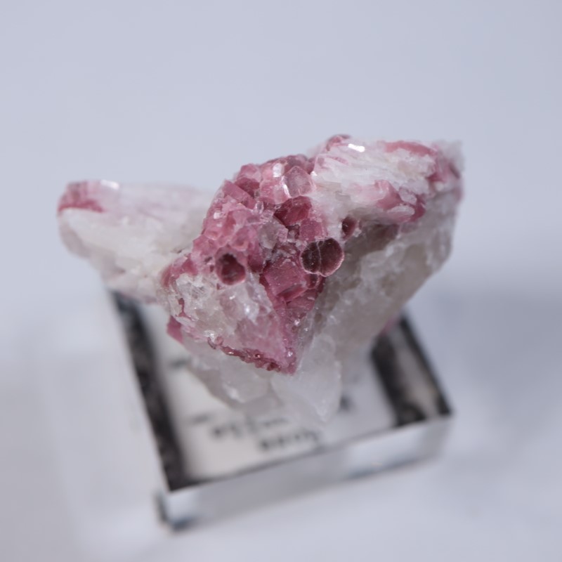 �˥塼�ᥭ������������