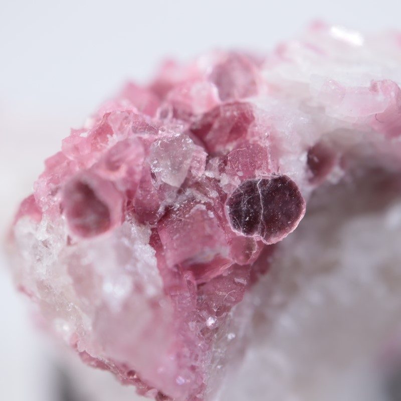 �˥塼�ᥭ������������