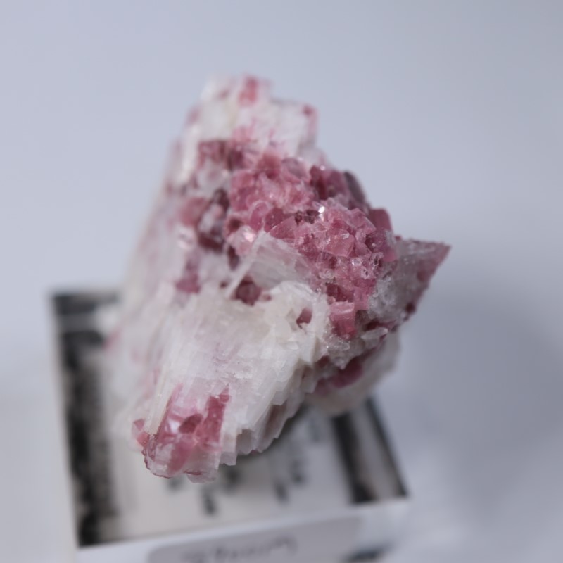 �˥塼�ᥭ������������