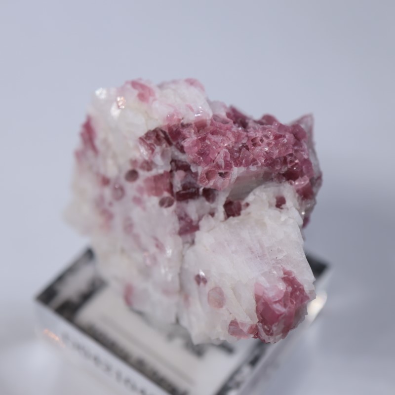 �˥塼�ᥭ������������