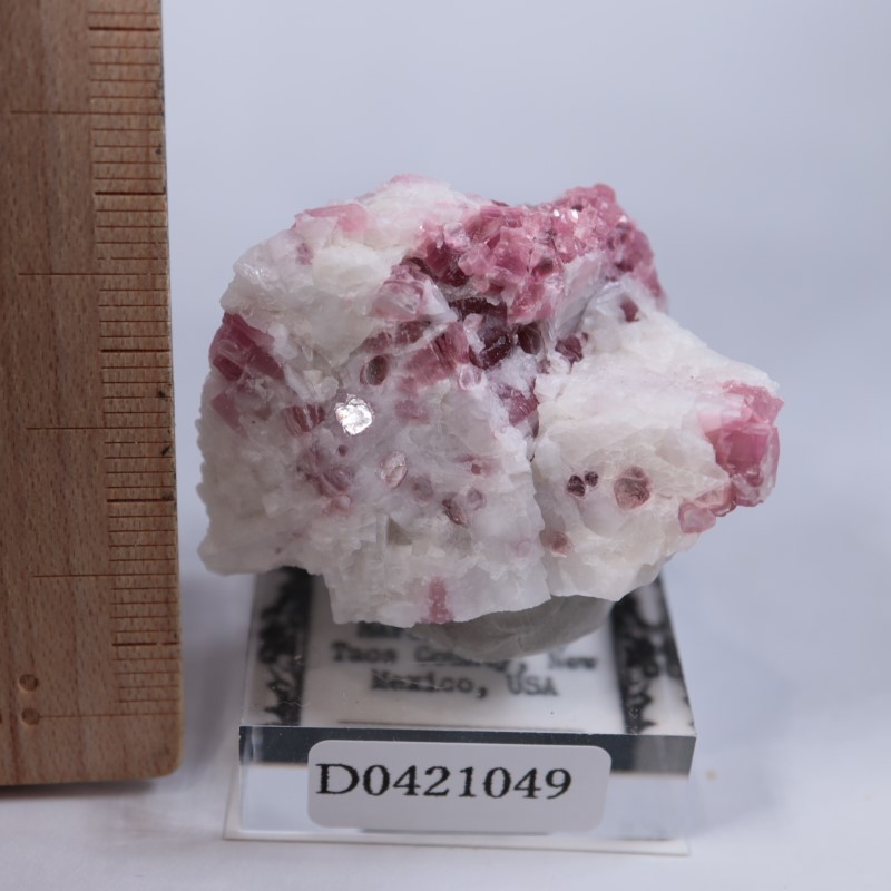 �˥塼�ᥭ������������