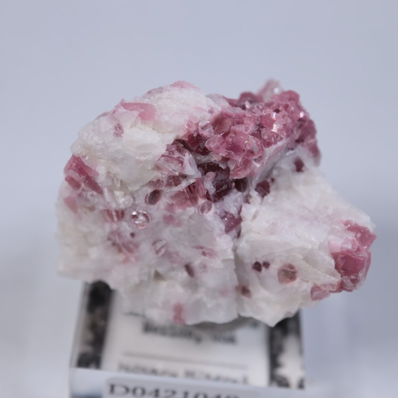 �˥塼�ᥭ������������