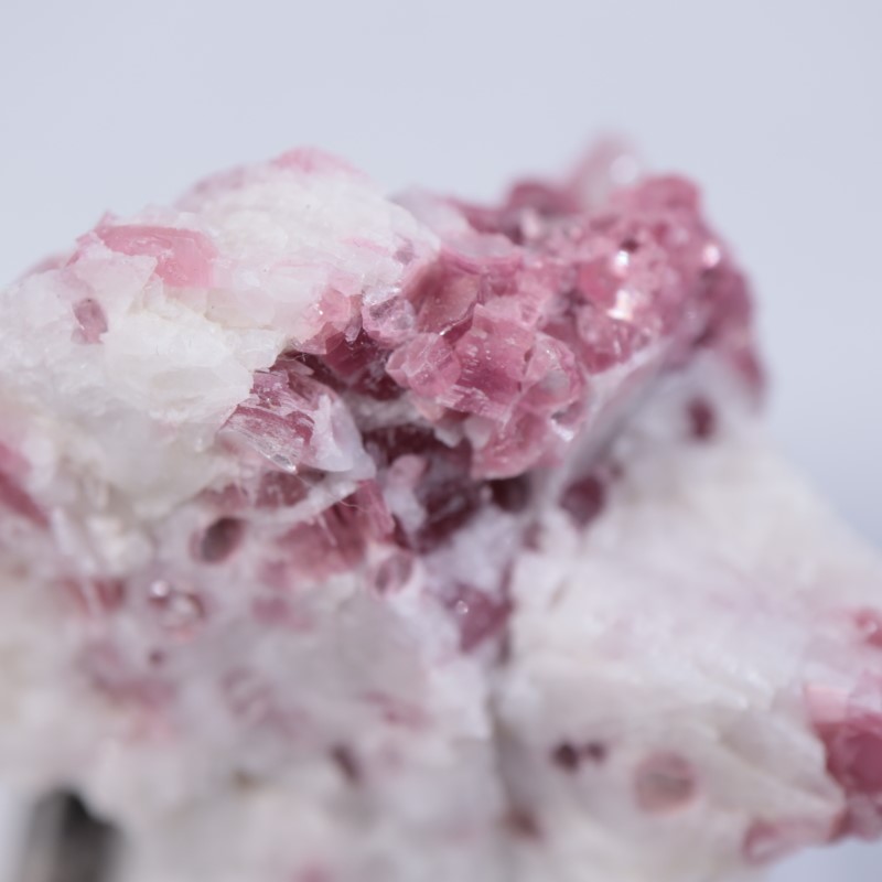 �˥塼�ᥭ������������