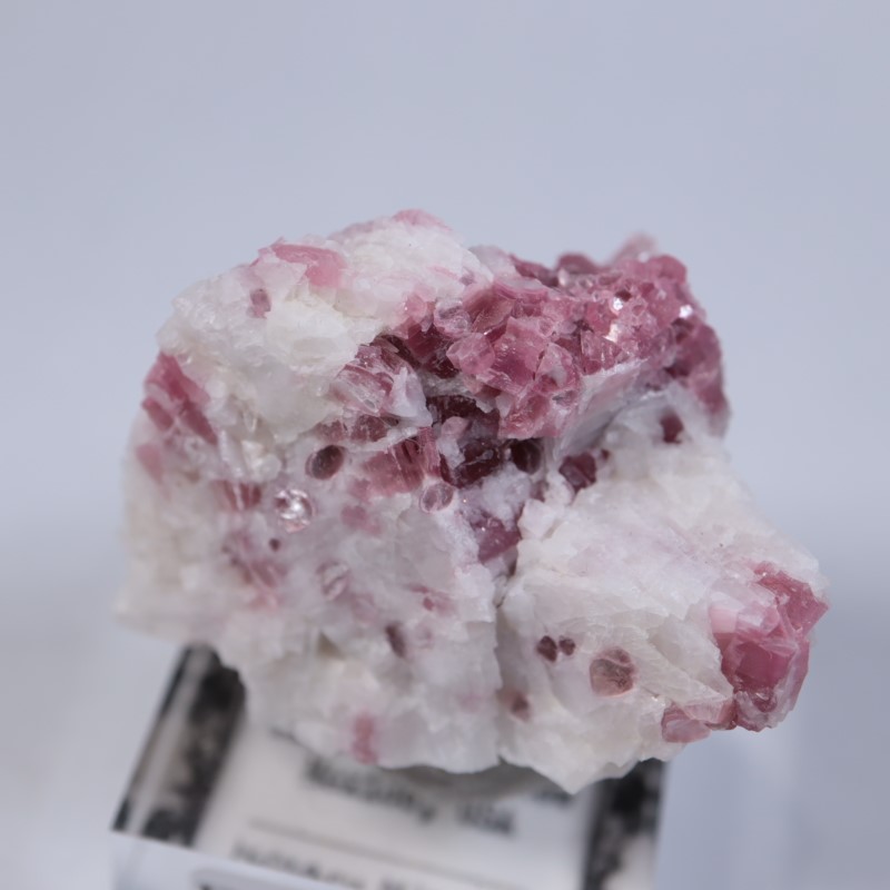 �˥塼�ᥭ������������