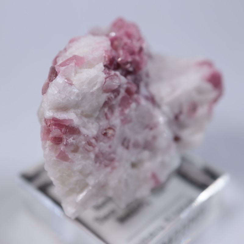 �˥塼�ᥭ������������