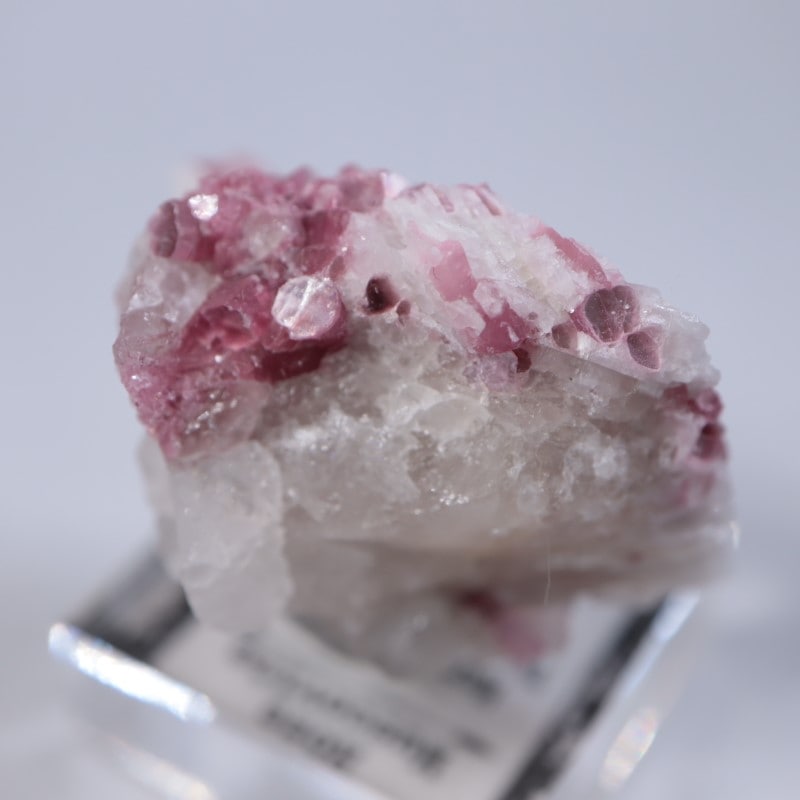 �˥塼�ᥭ������������