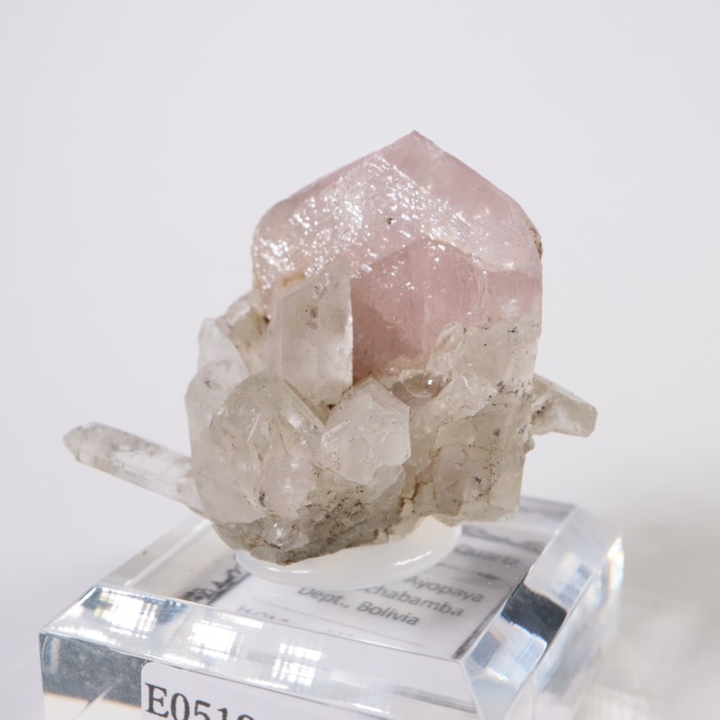 ボリビア産フルオロアパタイト ボリビア産 アパタイト、水晶 | 鉱物標本,ア行,アパタイト/燐灰石