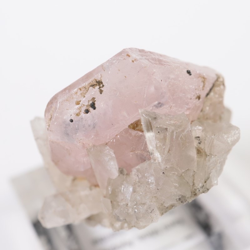 ボリビア産 アパタイト、水晶 | 鉱物標本,ア行,アパタイト/燐灰石