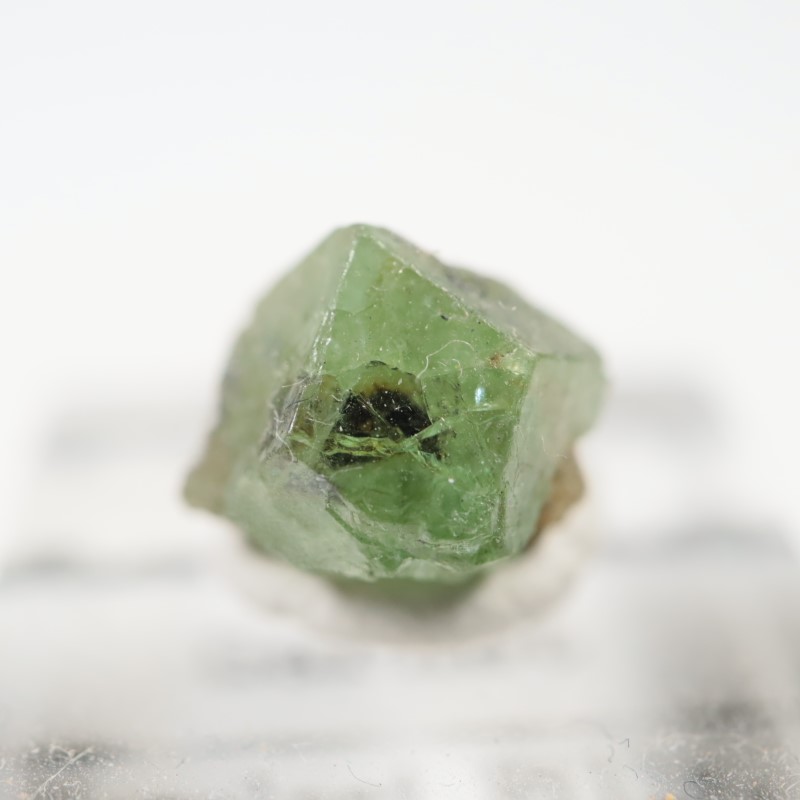 ���󥶥˥�������������顼�����ͥå�