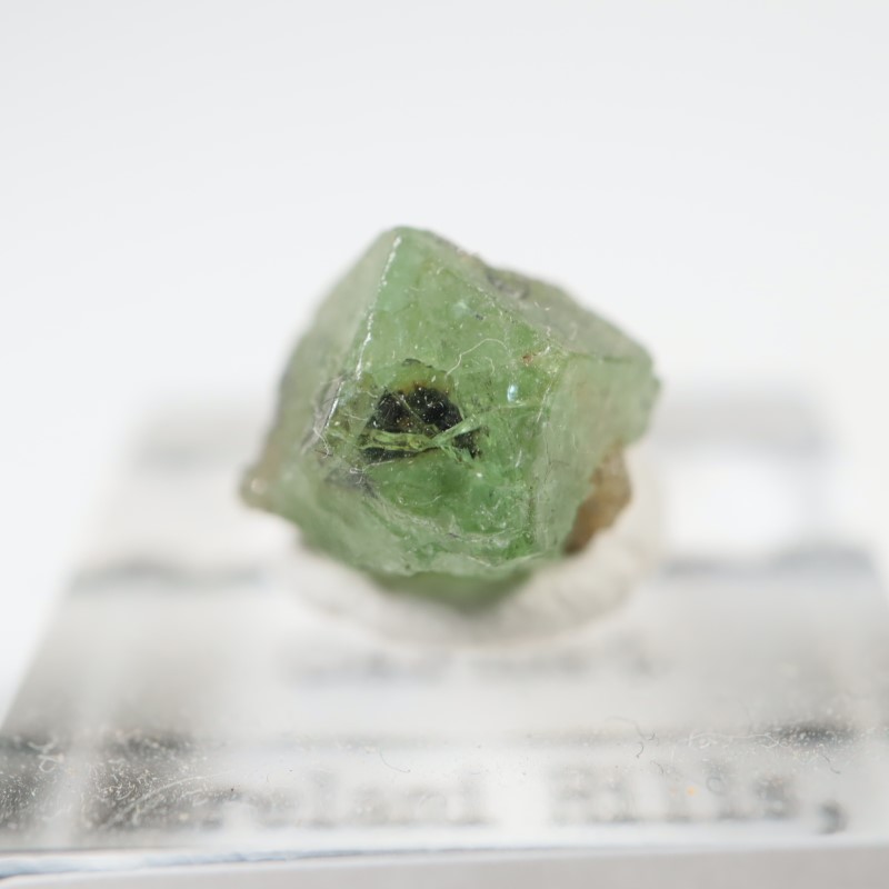 ���󥶥˥�������������顼�����ͥå�