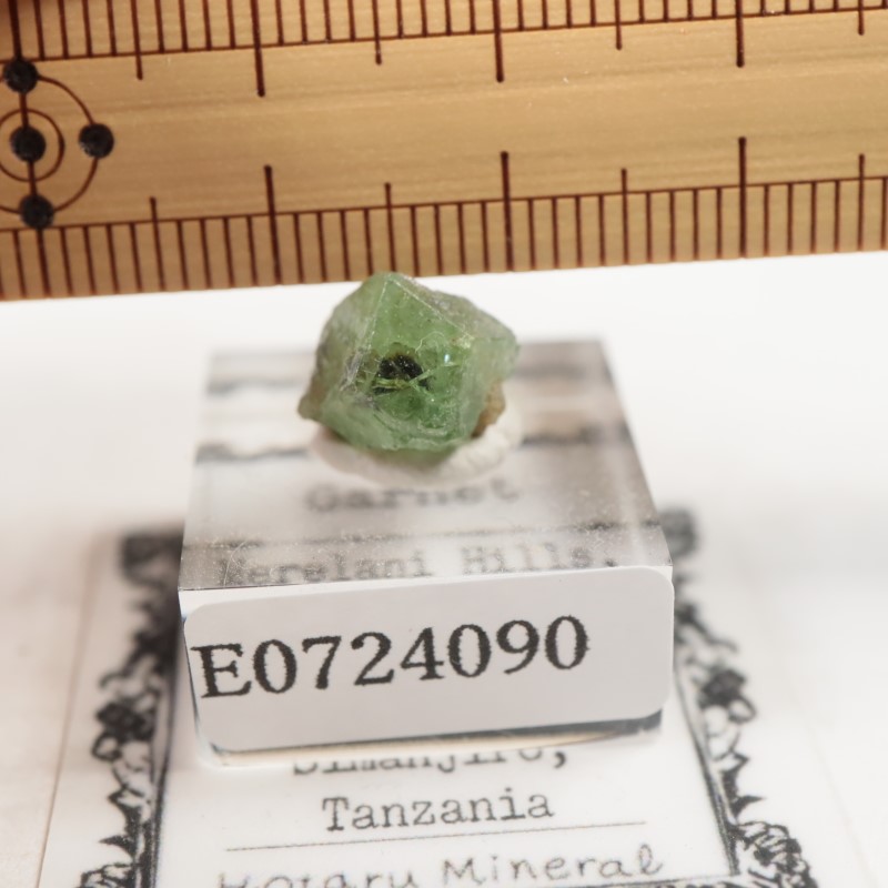 ���󥶥˥�������������顼�����ͥå�