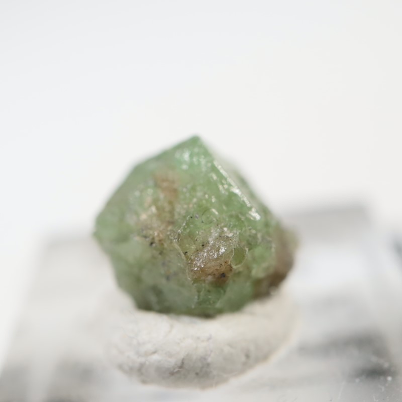 ���󥶥˥�������������顼�����ͥå�