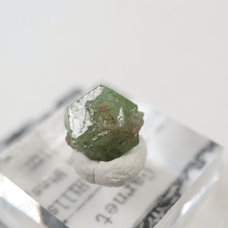 ���󥶥˥�������������顼�����ͥå�