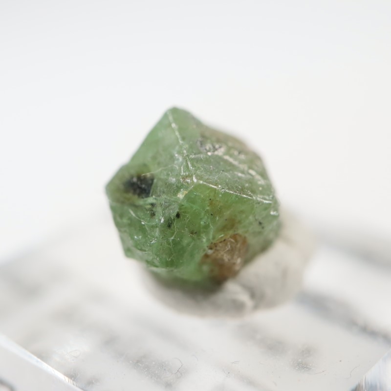 ���󥶥˥�������������顼�����ͥå�