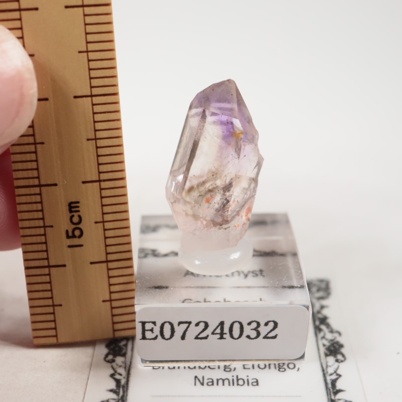 �֥��ɥС����������᥷����