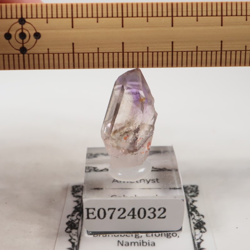 �֥��ɥС����������᥷����