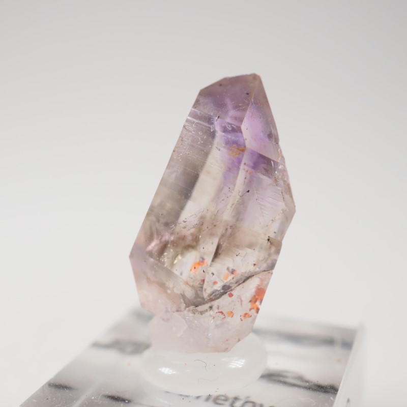 �֥��ɥС����������᥷����