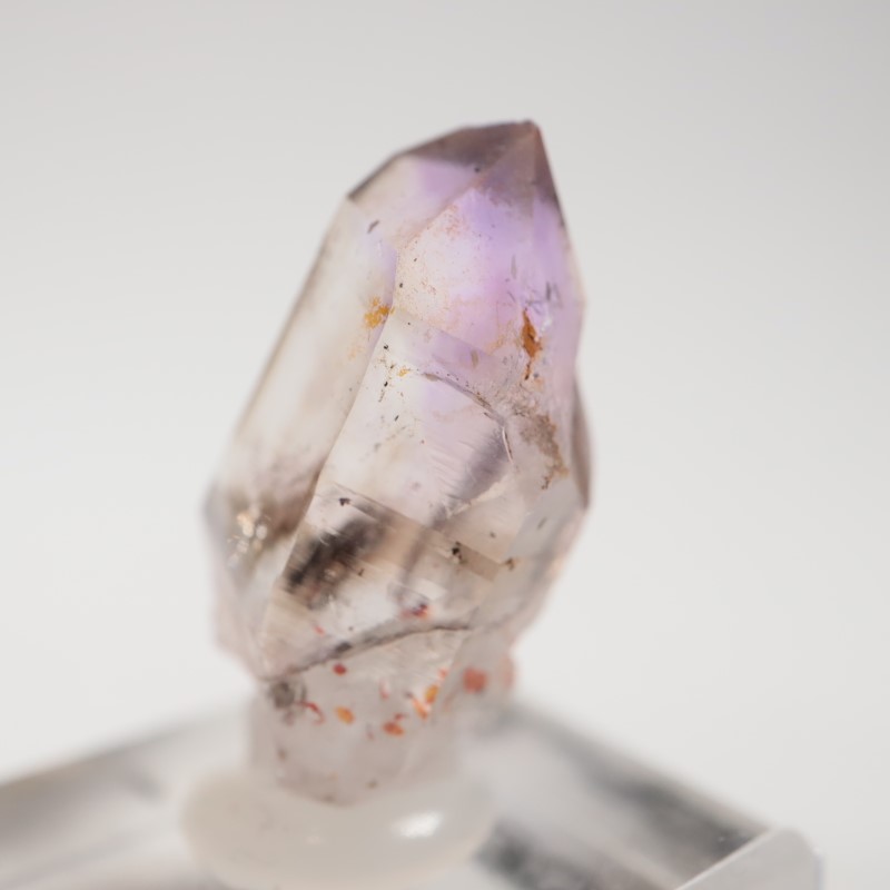 �֥��ɥС����������᥷����