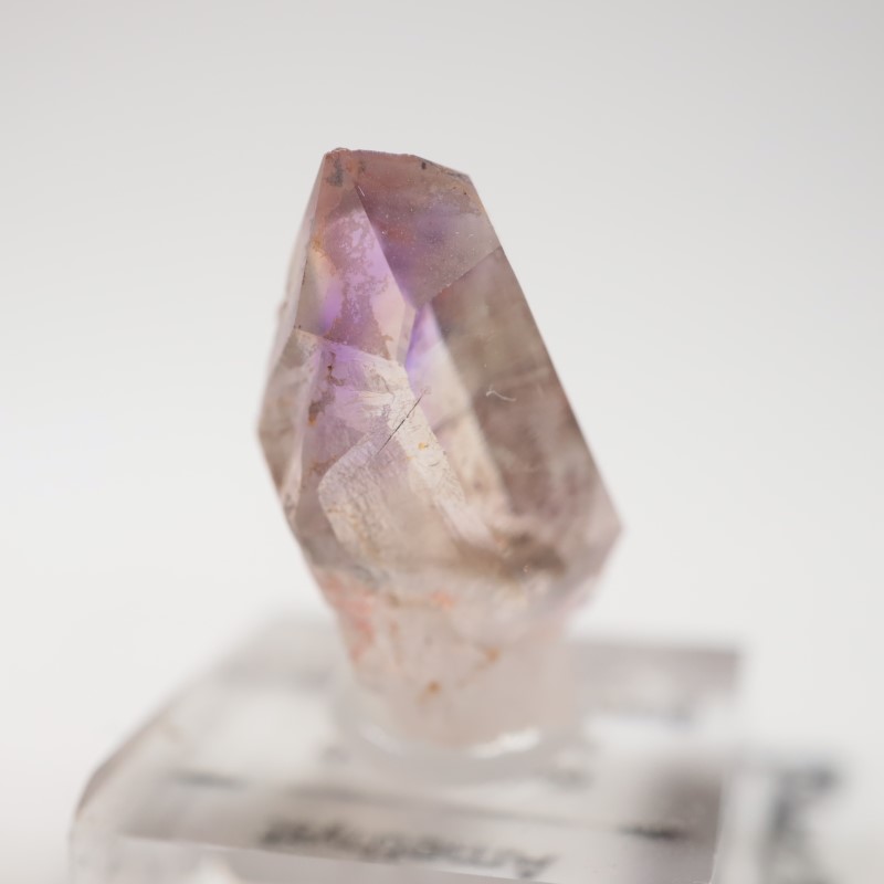 �֥��ɥС����������᥷����