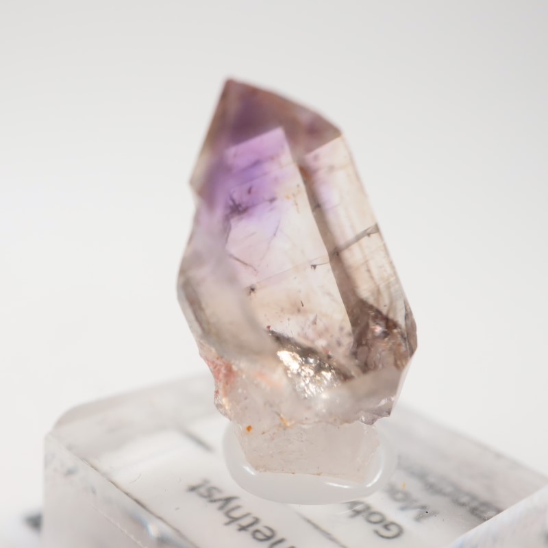 �֥��ɥС����������᥷����