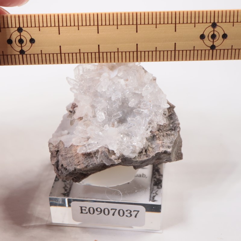 �楿���� ��������