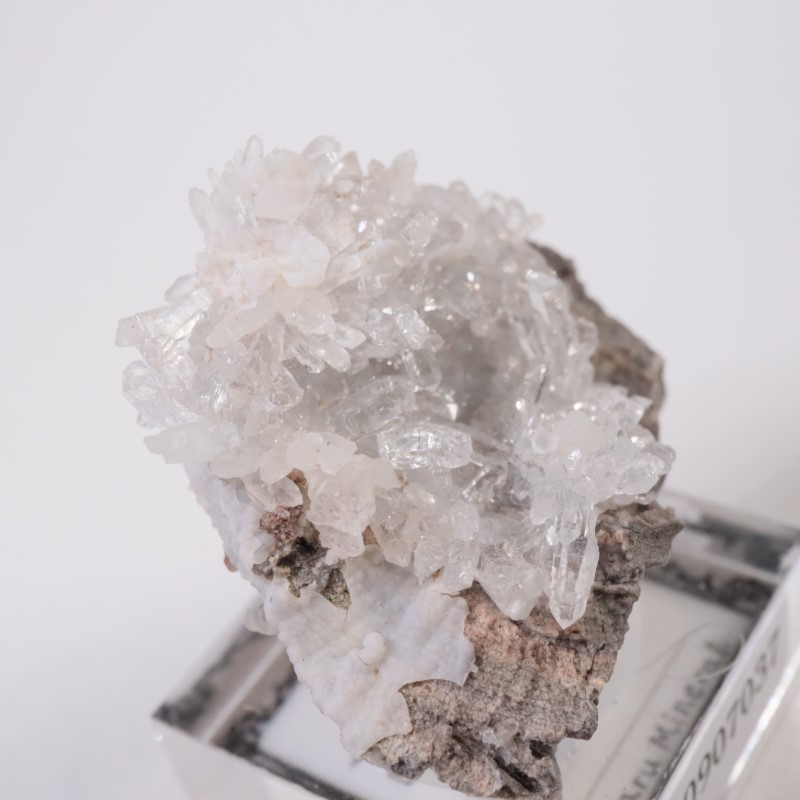 �楿���� ��������