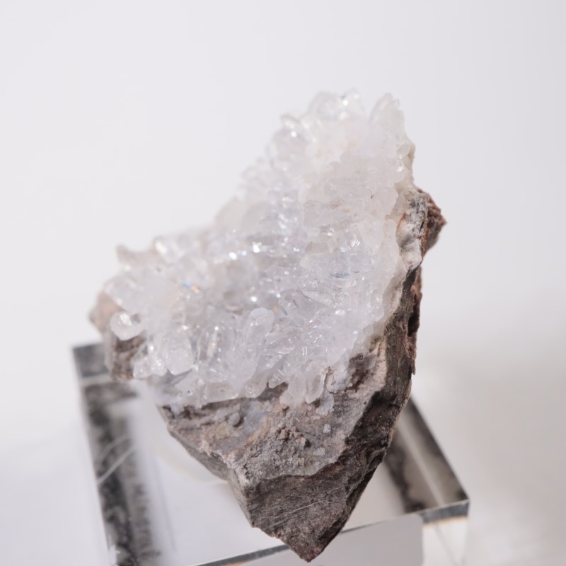 �楿���� ��������