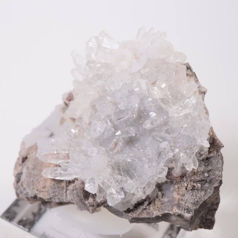 �楿���� ��������