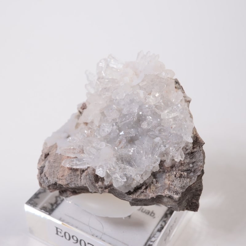 �楿���� ��������