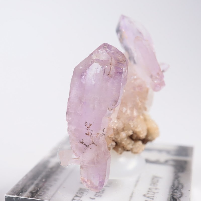 �٥饯�륹�� ���᥷����