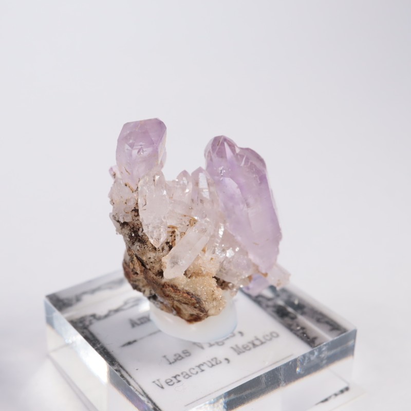 �٥饯�륹�� ���᥷����