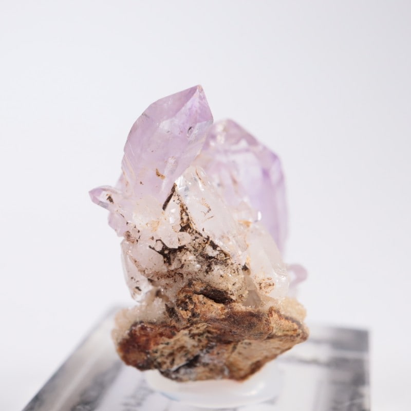 �٥饯�륹�� ���᥷����