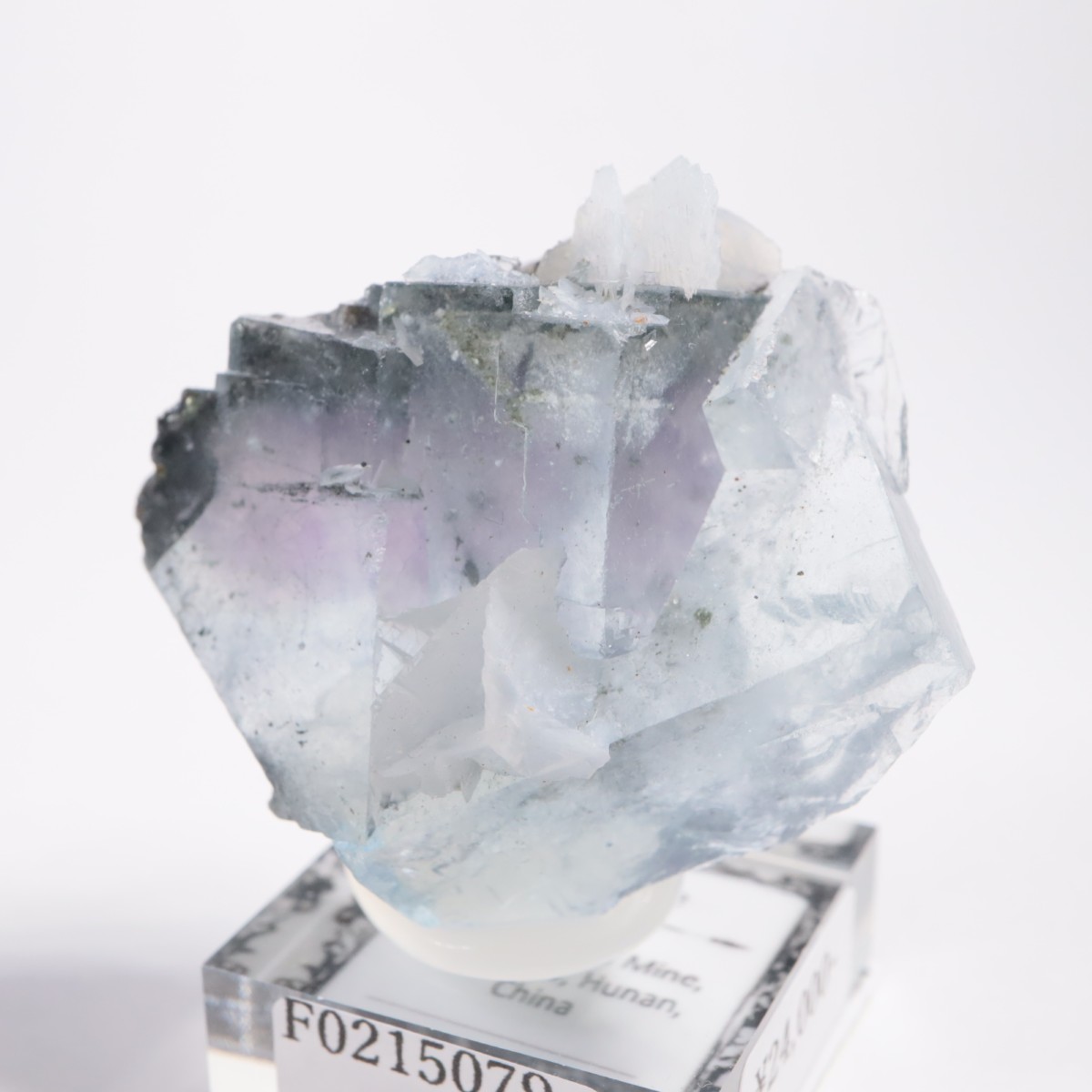 �䥪���󥷥��ۻ��� �ե����饤��